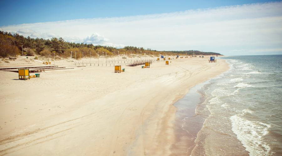 Wat zijn de populairste voertuigkeuzes in Palanga?